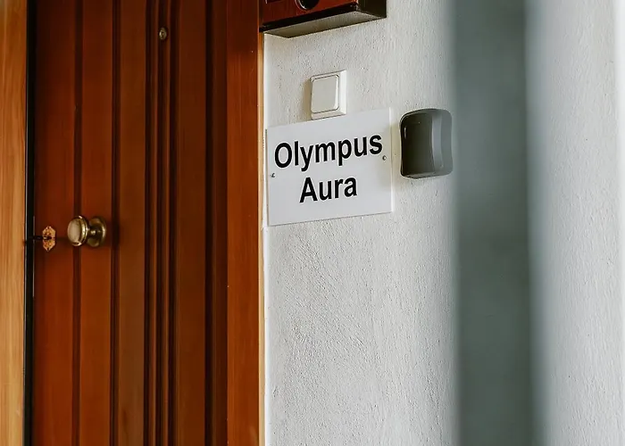 Zeusplace Olympus Aura
